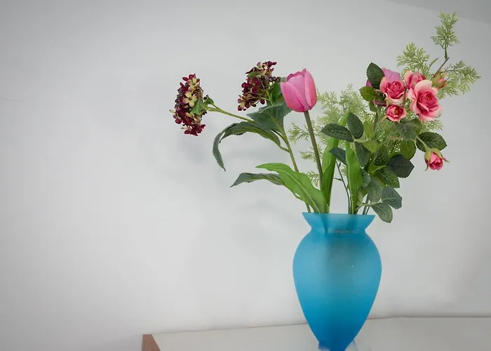 بيت للعطل Daisy's