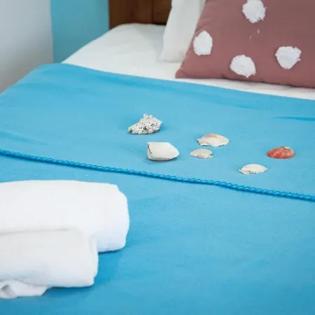 Daisy's * 阿彻奇洛斯