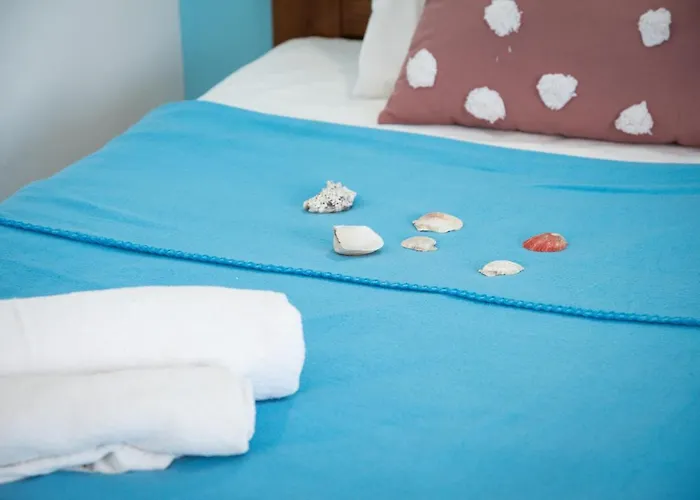 Daisy's * 阿彻奇洛斯